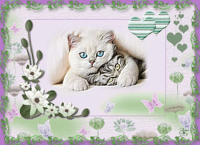 Любовная открытка с кошками и сердечками