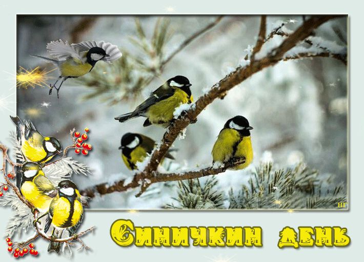 Скачать анимированную открытку на Синичкин день