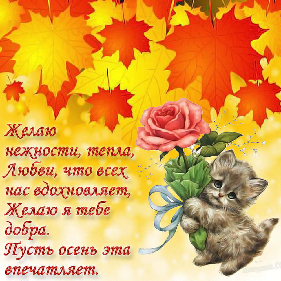 Открытка с Осенними Пожеланиями
