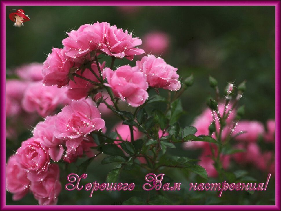 Открытка с розовыми цветыами для настроения