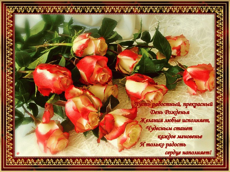 Открытка с прекрасными розами на День Рождения