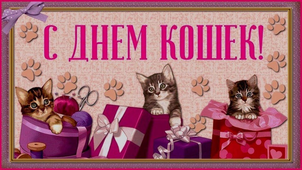 Стильная открытка на День Кошек