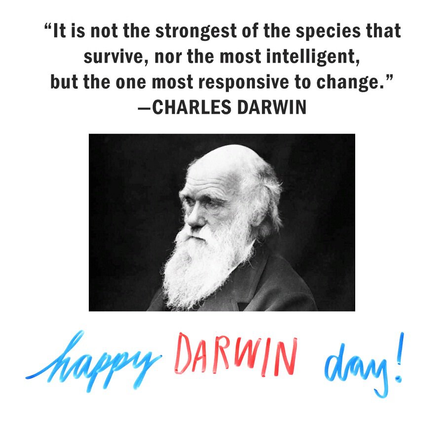 Скачать открытку на День Дарвина