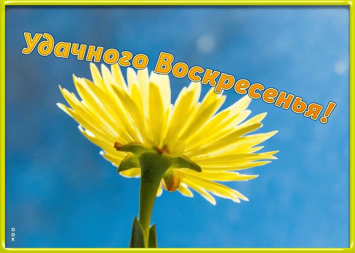 Скачать классную гиф открытку про Воскресенье