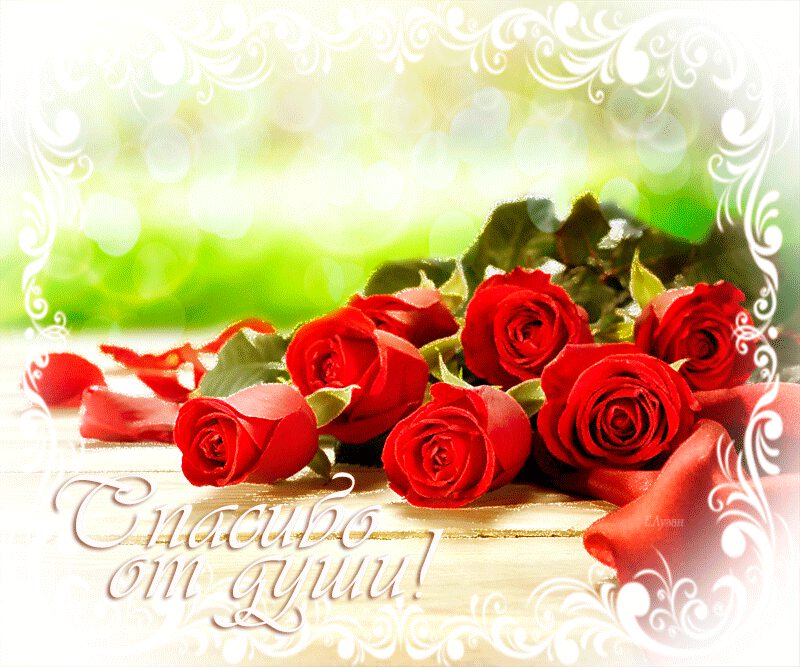 Мерцающая открытка Спасибо с букетом роз