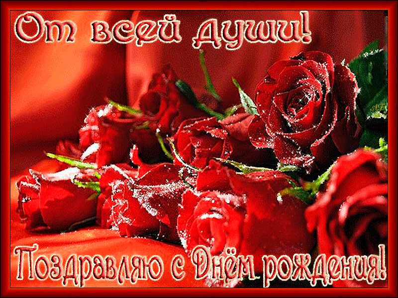 Красивый букет красных роз в рамке на День рождения