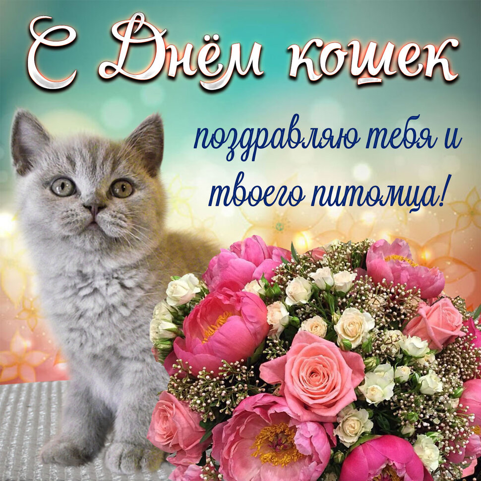 Поздравительная открытка на День Кошек