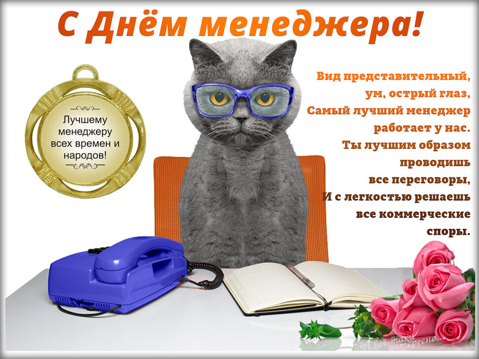 Смешная открытка на День менеджера с котом и стихами