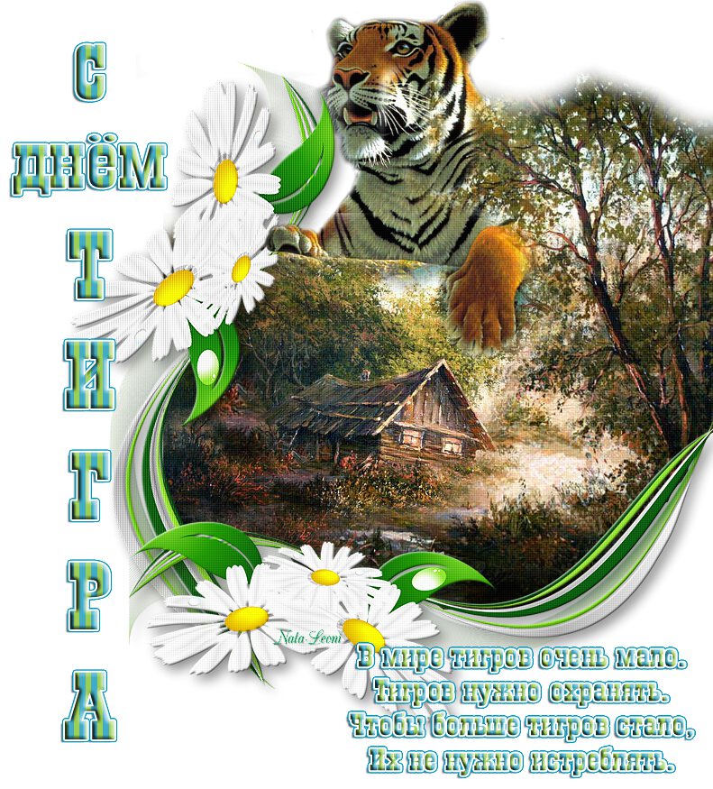 Стильная открытка на День тигра