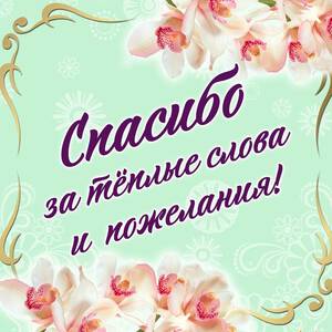 Нежная открытка с надписью Давай Помиримся