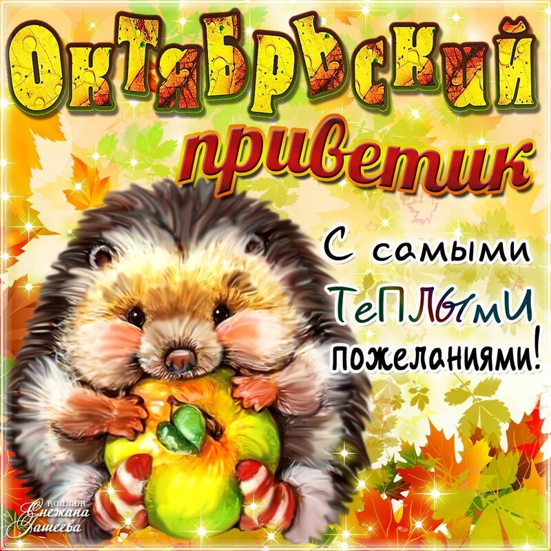 День привета поздравления. Осенний приветик. Открытки осенний привет. Открытки осенний приветик. Открытки приветик.