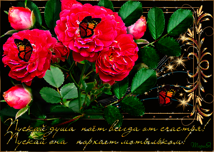 Красивые гифки с днем счастья. Розы с пожеланиями счастья и здоровья. Цветы подруге мерцающие. Розы с пожеланием здоровья. Красивые розы с пожеланиями удачи.