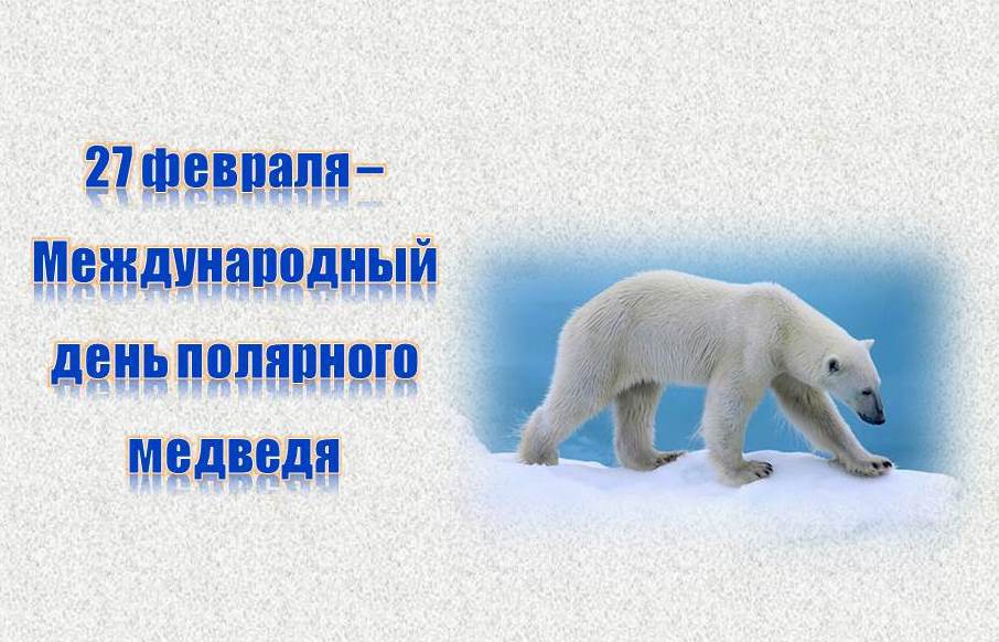 Виртуальная открытка на День Полярного Медведя