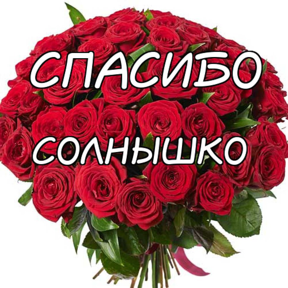 Спасибо солнышко картинки мужчине