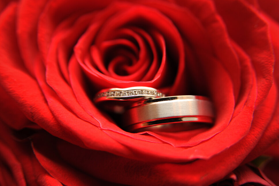 Свадебная открытка с розой и кольцами