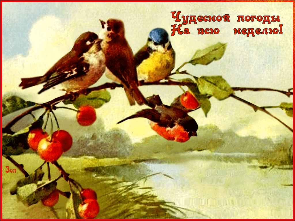 Советские добрый день. Доброго дня с птичками. Доброго дня с птицами. Старинные открытки с добрым утром. Открытки с добрым утром с птичками.