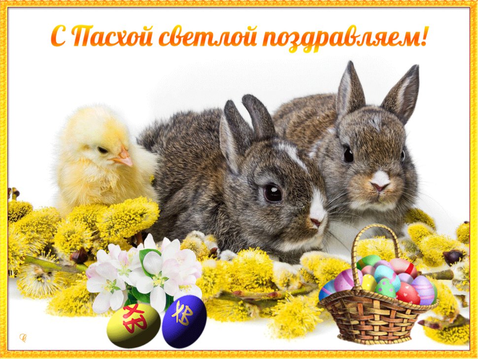 Гиф открытка на тему Пасхи с кроликами