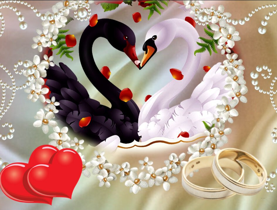 Красивая свадебная открытка с лебедями