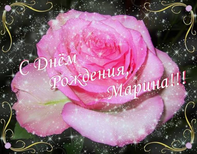 Открытка с Днем Рождения для Марины с розой