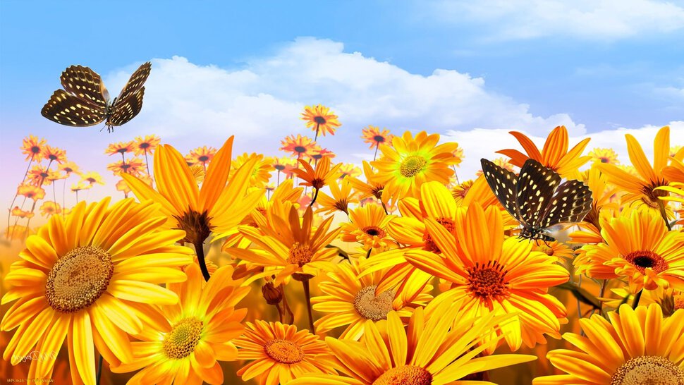 Открытка лето с цветами и бабочками