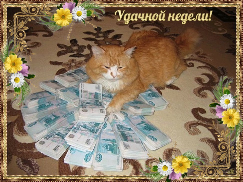 Рыжий кот на кучу денег на удачу