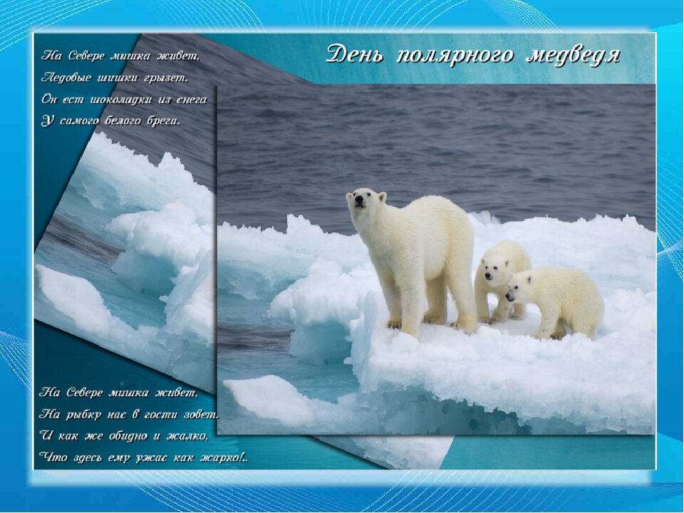 Скачать красивую открытку на День Полярного Медведя