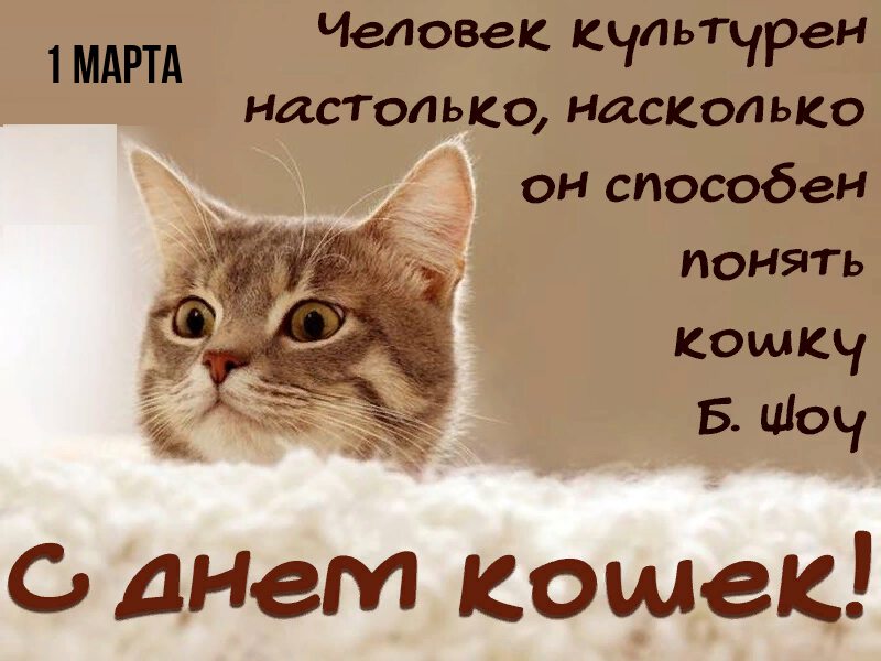 Виртуальная открытка на День Кошек