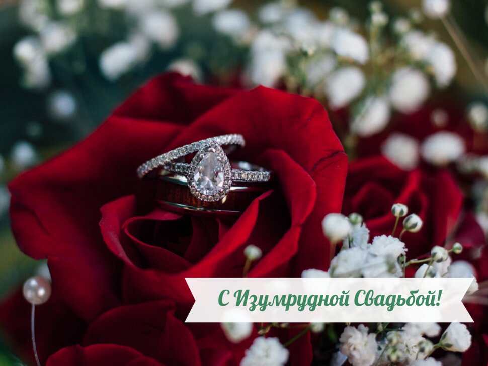 Открытка с розой и кольцами на 55 лет со дня свадьбы