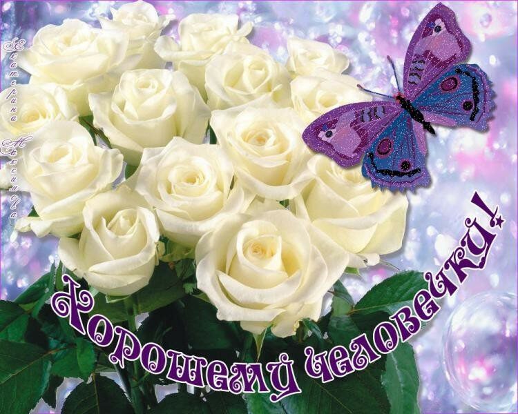 Добрый День Прекрасной Женщине Красивые Картинки