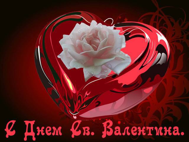 Валентинка с белой розой