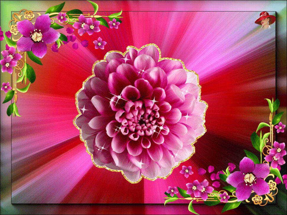 Анимированная открытка с хризантемой