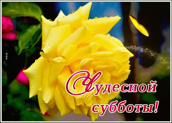 Здравствуй суббота картинки