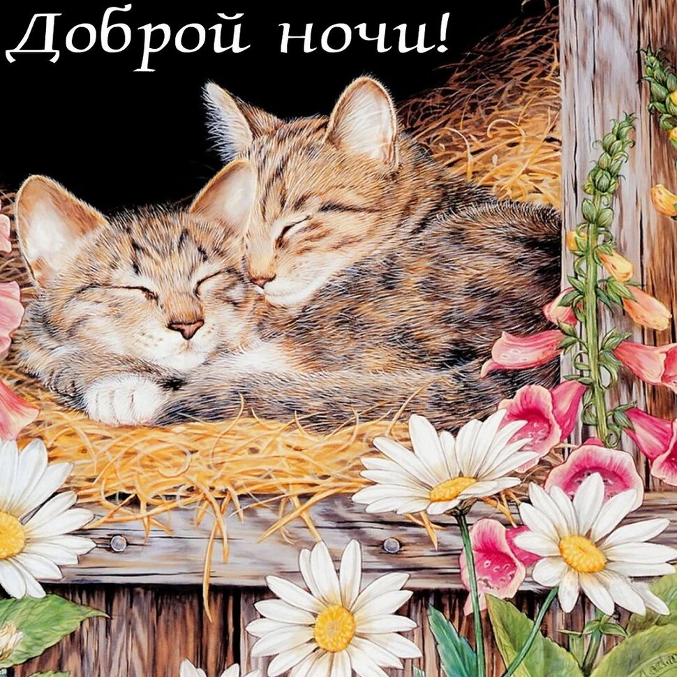 Доброй ночи! Открытка со спящими кошками и цветами