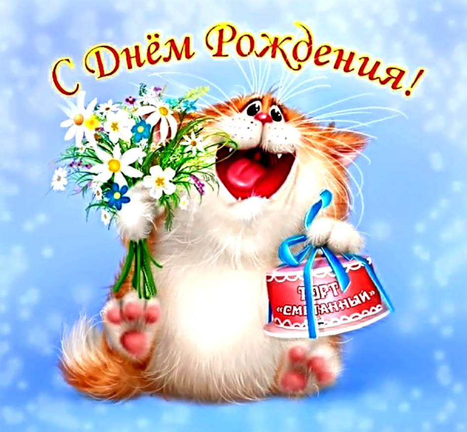 https://www.sunhome.ru/i/cards/211/otkritka-s-kotom-i-tortom-dlya-devushki-na-den-rozhdeniya.orig.jpg