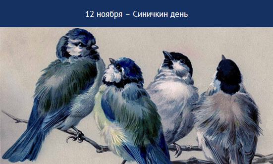 Бесплатная интересная открытка на Синичкин день