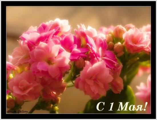 Первомайская открытка с цветами