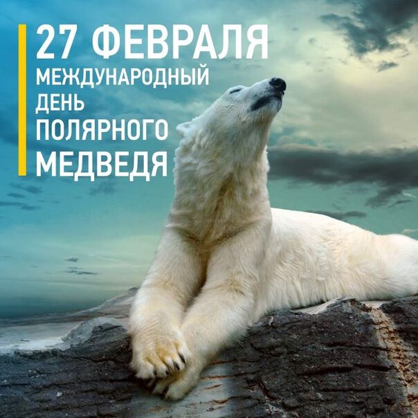 Бесплатная открытка на День Полярного Медведя