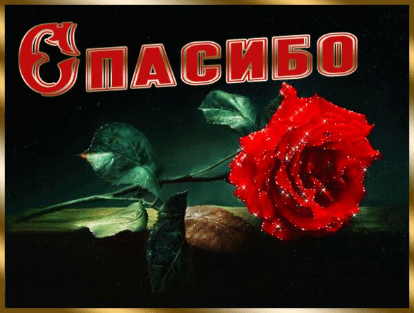Движущаяся открытка Спасибо с красной розой