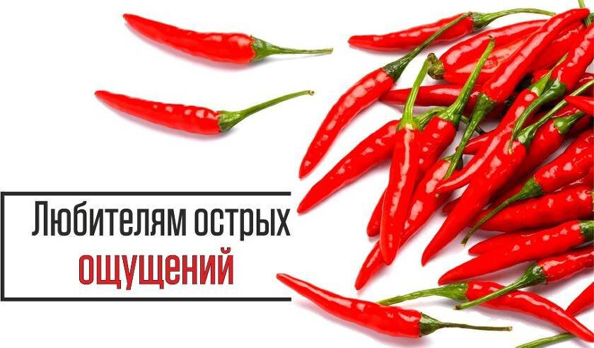 Виртуальная открытка на День любителя острых ощущений