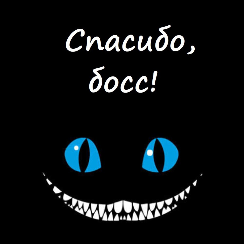 Спасибо босс картинки