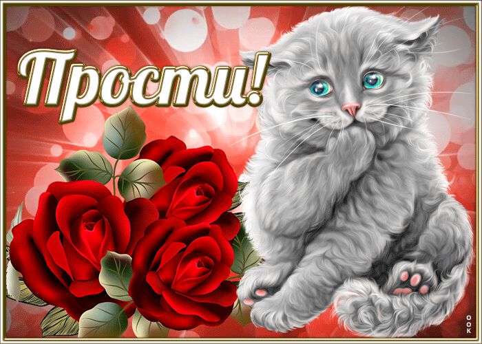 Гиф открытка Прости. Смешной котик и красные розы