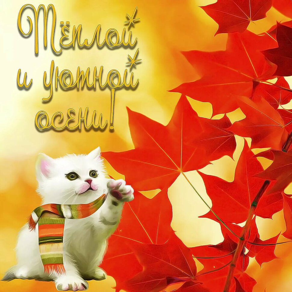 Скачать милую открытку с Осенними Пожеланиями