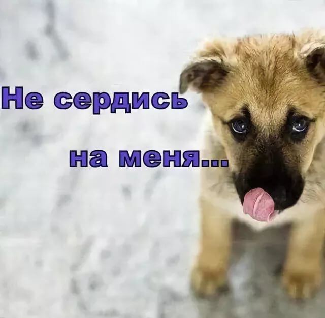 Не сердись на меня!