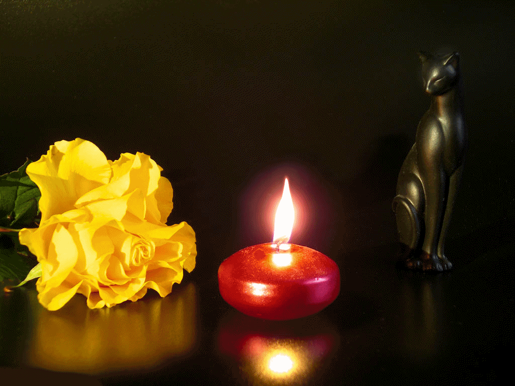 Поминальная свеча. Свеча и цветы скорби. Свеча памяти. Траурные свечи и цветы. Открытка горящая свеча