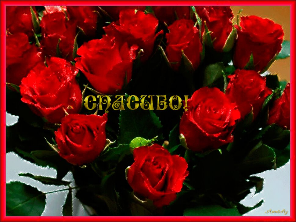Открытка с красными розами в знак благодарности