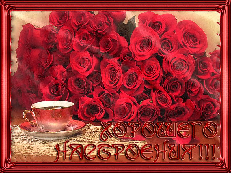 Открытка с букетом красных роз Хорошего настроения