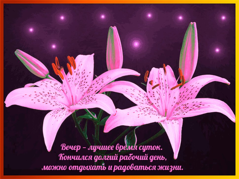 Анимационная открытка Добрый вечер с лилиями