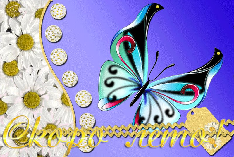 Красивая открытка с бабочкой на синем фоне Скоро лето