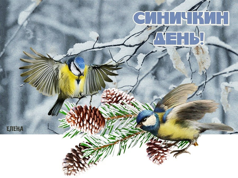 Музыкальная открытка на Синичкин день