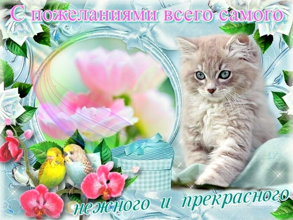 Картинки желаю всего самого хорошего